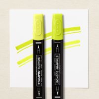 Parakeet Party Stampin' Blends Combo Pack