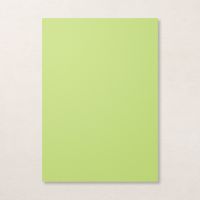 Parakeet Party A4 Cardstock