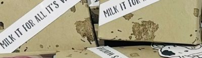 Easy 3D Cutest Cow Gift Box Packaging