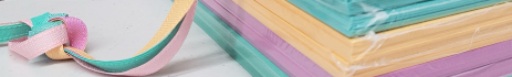 Do you love the 2024-2026 InColors?